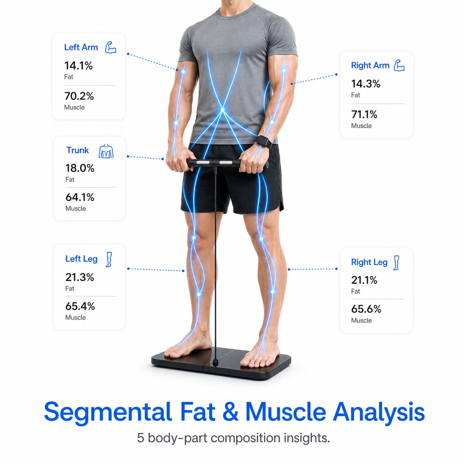 A man stands on a black platform holding a handlebar, with blue anatomical overlays showing body composition. White callout boxes around him list left/right arm, trunk, left leg, and right leg fat and muscle percentages, with the text 'Segmental Fat & Muscle Analysis' below on a white background.